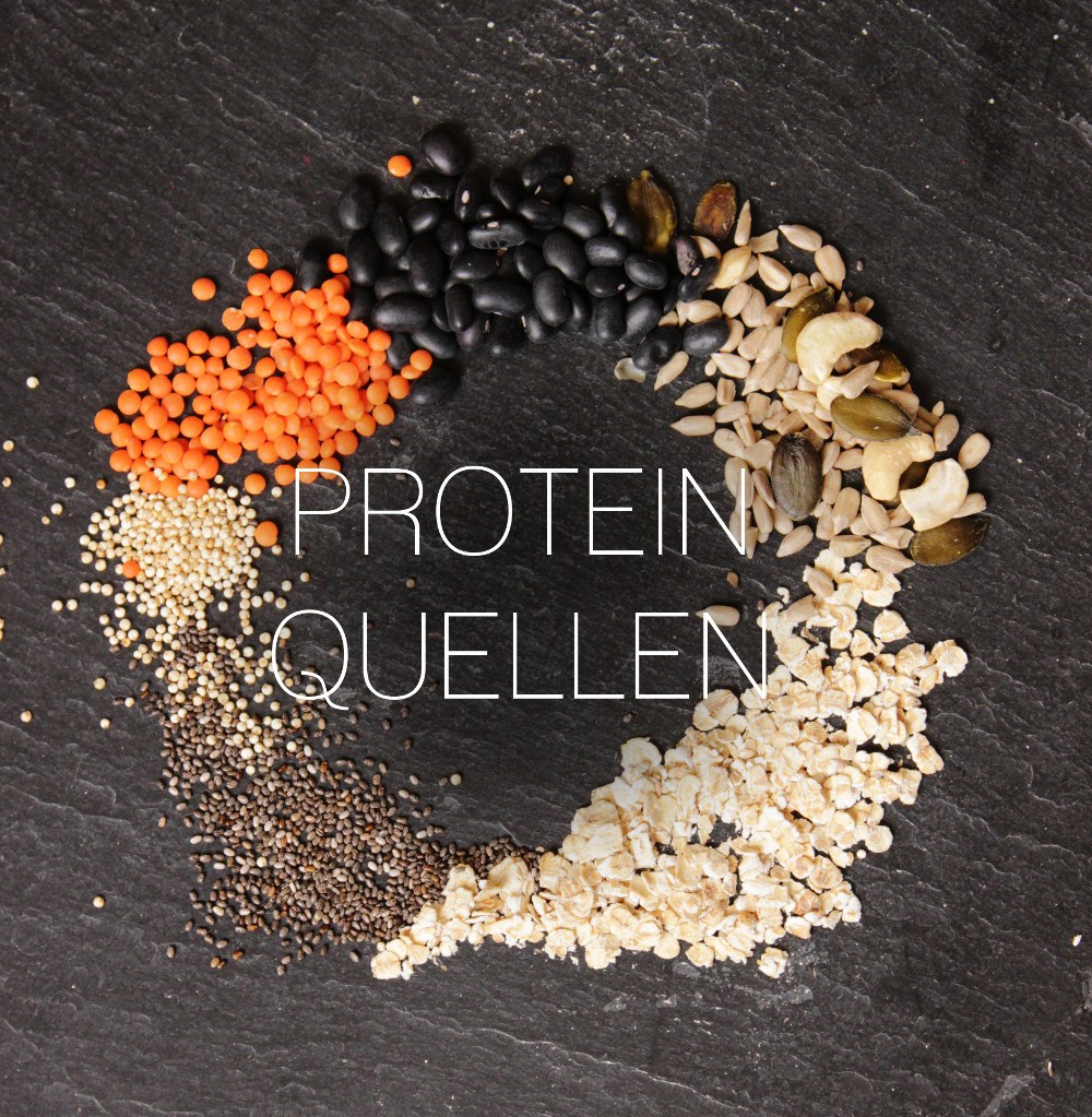 VEGAN PROTEIN SOURCES